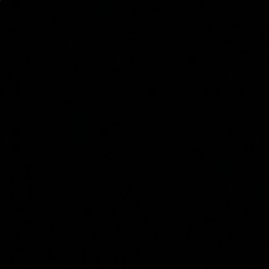 Meet your Posher, Liyiah